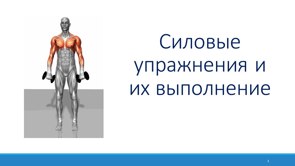 Презентация на тему: "Силовые упражнения и их выполнение" - Скачать презентации бесплатно ☑ Презентации по предметам на gdz-books.ru