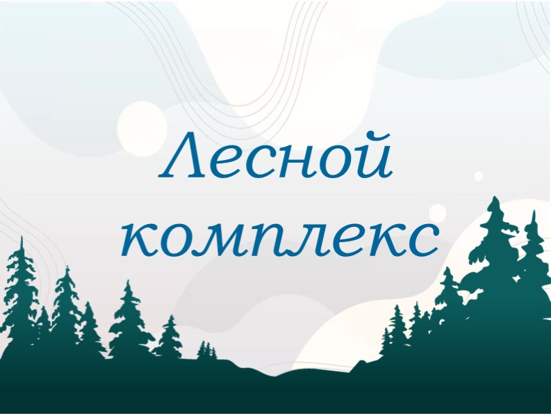 9 класс "Лесной комплекс" - Скачать презентации бесплатно ☑ Презентации по предметам на gdz-books.ru