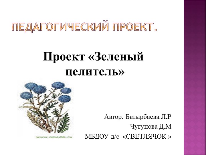 ПРОЕКТ "ЗЕЛЕНЫЙ ЦЕЛИТЕЛЬ" В ДЕТСКОМ САДУ - Скачать презентации бесплатно ☑ Презентации по предметам на gdz-books.ru