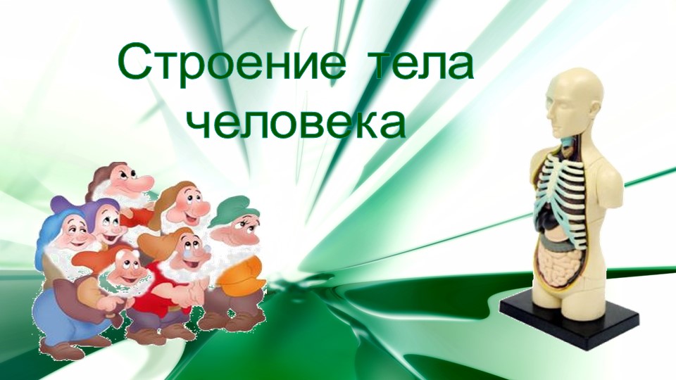 Презентация по окружающему миру на тему "Строение тела человека" (2 класс) - Скачать презентации бесплатно ☑ Презентации по предметам на gdz-books.ru