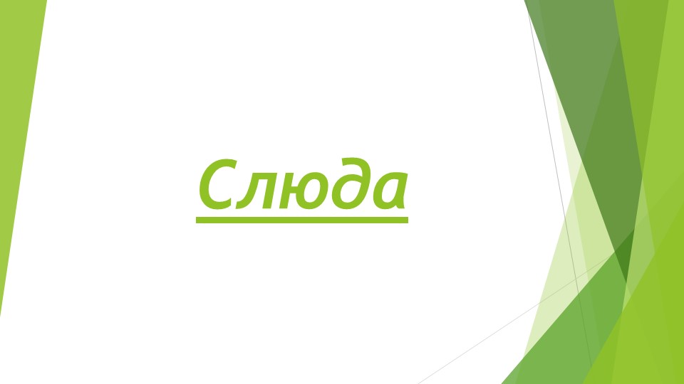 Презентация по окружающему миру "Слюда"  - Скачать презентации бесплатно | Читать или скачать учебники для школы онлайн бесплатно ☑ Школьные учебники school-textbook.com