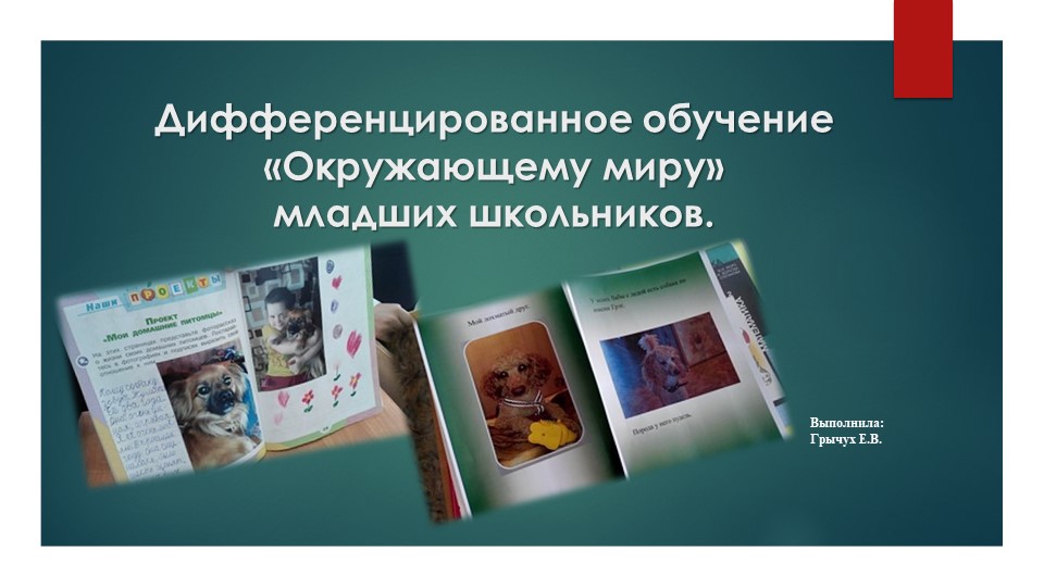 Презентация на тему "Дифференцированное обучение «Окружающему миру» младших школьников" - Скачать презентации бесплатно ☑ Презентации по предметам на gdz-books.ru