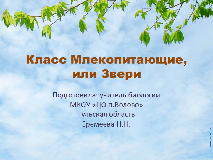 Презентация по биологии на тему "Млекопитающие, или Звери" - Скачать презентации бесплатно ☑ Презентации по предметам на gdz-books.ru