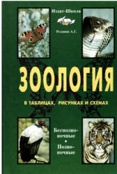 Зоология в таблицах., схемах и рисунках. 7-8 классы - Резанов А.Г. - Читать или скачать учебники для школы онлайн бесплатно | Школьные учебники ┃ Учебники для студентов на gdz-books.ru