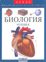 Биология. Человек. Атлас для 6-9 классов - Барабанов С.В. - Скачать презентации бесплатно | Читать или скачать учебники для школы онлайн бесплатно ☑ Школьные учебники school-textbook.com
