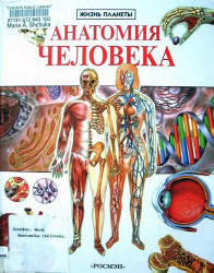 Анатомия человека - Марк Крокер.  - Скачать презентации бесплатно | Читать или скачать учебники для школы онлайн бесплатно ☑ Школьные учебники school-textbook.com