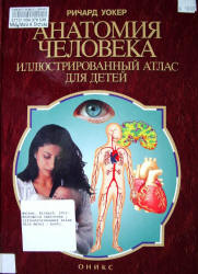 Анатомия человека. Иллюстрированный атлас для детей - Р. Уокер.  - Скачать презентации бесплатно | Читать или скачать учебники для школы онлайн бесплатно ☑ Школьные учебники school-textbook.com