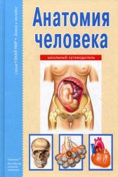 Анатомия человека. Школьный путеводитель - Афонькин С.Ю. - Скачать презентации бесплатно | Читать или скачать учебники для школы онлайн бесплатно ☑ Школьные учебники school-textbook.com