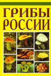 Грибы России - Бескоровайный А.  - Скачать презентации бесплатно | Читать или скачать учебники для школы онлайн бесплатно ☑ Школьные учебники school-textbook.com