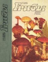 Грибы. Справочник миколога и грибника - Дудка И.А., Вассер С.П. - Читать или скачать учебники для школы онлайн бесплатно | Школьные учебники ┃ Учебники для студентов на gdz-books.ru