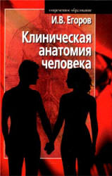 Клиническая анатомия человека - Егоров И.В.  - Скачать презентации бесплатно | Читать или скачать учебники для школы онлайн бесплатно ☑ Школьные учебники school-textbook.com
