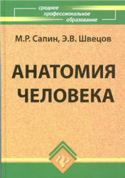 Анатомия человека - Сапин М.Р., Швецов Э.В.  - Скачать презентации бесплатно | Читать или скачать учебники для школы онлайн бесплатно ☑ Школьные учебники school-textbook.com