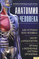 Анатомия человека. Иллюстрированный атлас - Кассан А.  - Скачать презентации бесплатно | Читать или скачать учебники для школы онлайн бесплатно ☑ Школьные учебники school-textbook.com