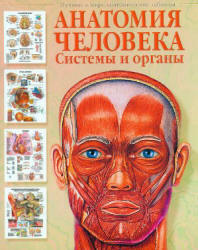 Анатомия человека. Системы и органы - Бехин П.  - Скачать презентации бесплатно | Читать или скачать учебники для школы онлайн бесплатно ☑ Школьные учебники school-textbook.com