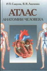 Атлас анатомии человека - Самусев Р.П., Липченко В.Я.  - Скачать презентации бесплатно | Читать или скачать учебники для школы онлайн бесплатно ☑ Школьные учебники school-textbook.com